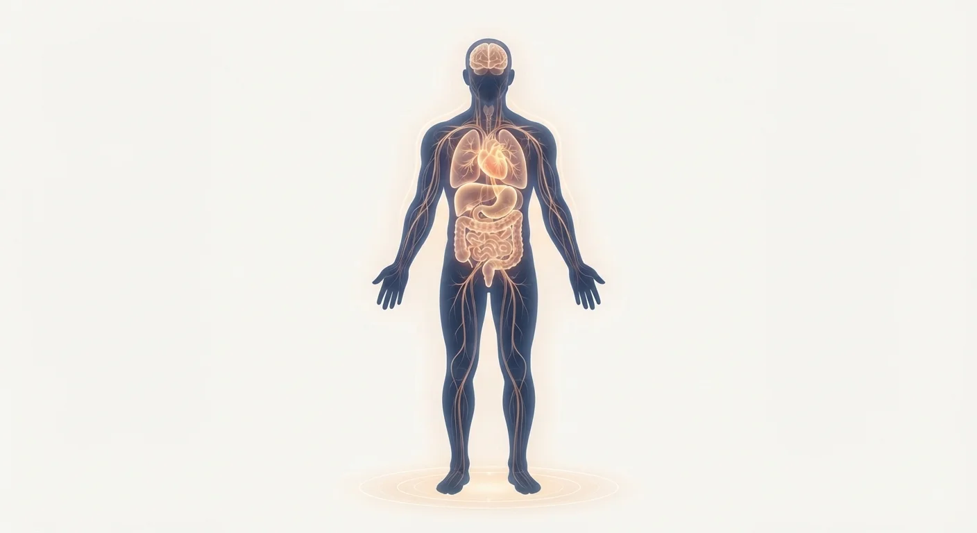 The Science of Basal Metabolic Rate: Your Body's Energy Floor